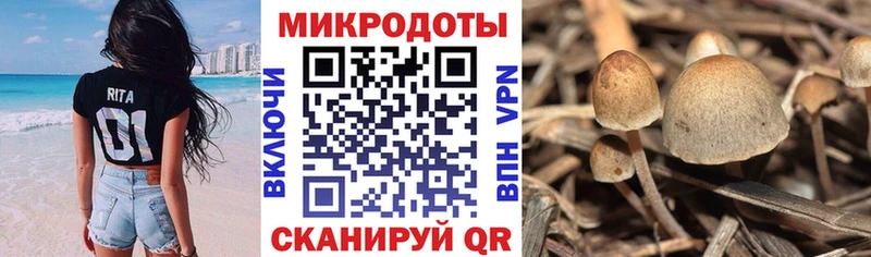 Псилоцибиновые грибы MAGIC MUSHROOMS  где найти   KRAKEN ССЫЛКА  Скопин 